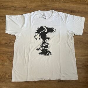 Kaws Uniqlo Tee Size XL